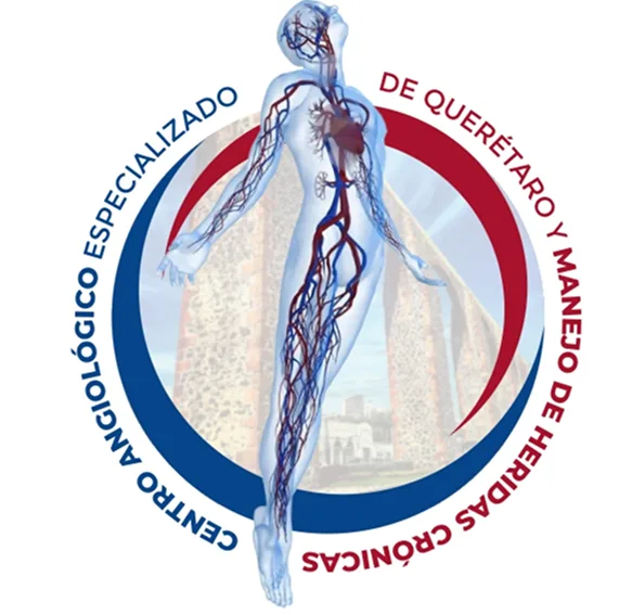 assets/images/favicons/favi-angiologo-cirujano-vascular-endovascular-queretaro.webp
